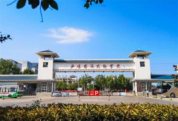 少林塔沟武术学校