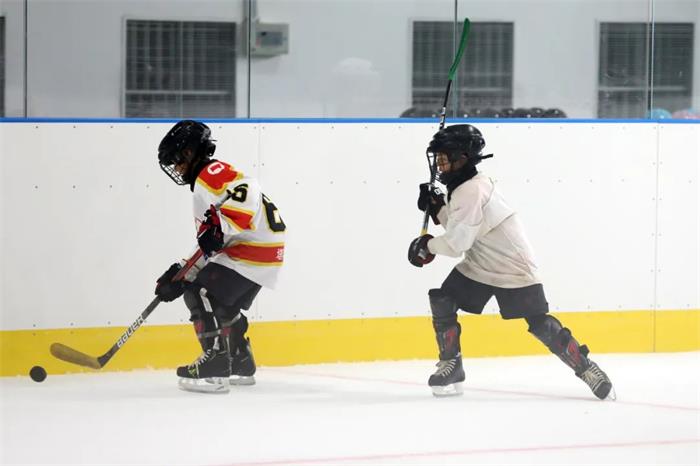 /content/202306/e5a17b3616acab5a81a9052ac36b8a75.jpg 微信图片_20230613073801.jpg